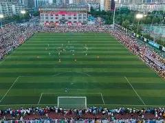 水晶宫客场,击溃阿森纳,厄德高助力,新葡京娱乐平台,澳门新葡京娱乐城,新葡京博彩官网