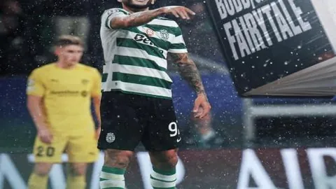 大乐透期号专家推荐质合分析：前区十码与库里适配性