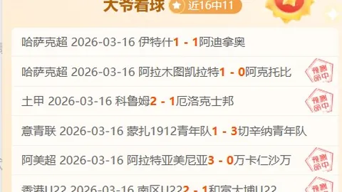 近5场NBA胜率分析：专家解读期号数据